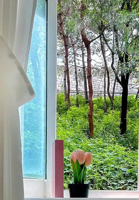 The Seoul City Wall House كوريا الجنوبية